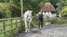 Long-reining a grey horse