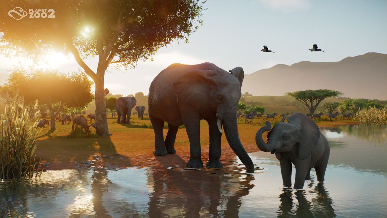 Elephants play in the water in Planet Zoo 2