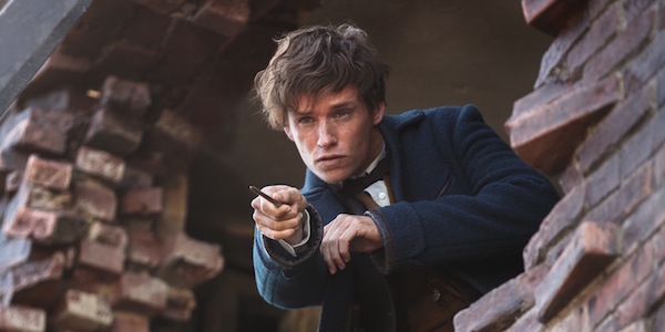 Newt Scamander Fantastic Beasts