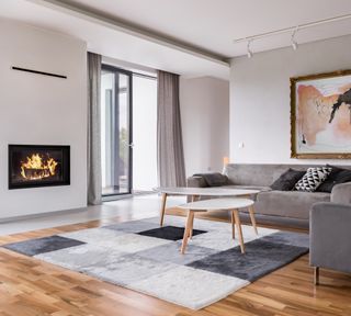 Modern interior with gas fire and wooden floor with rug