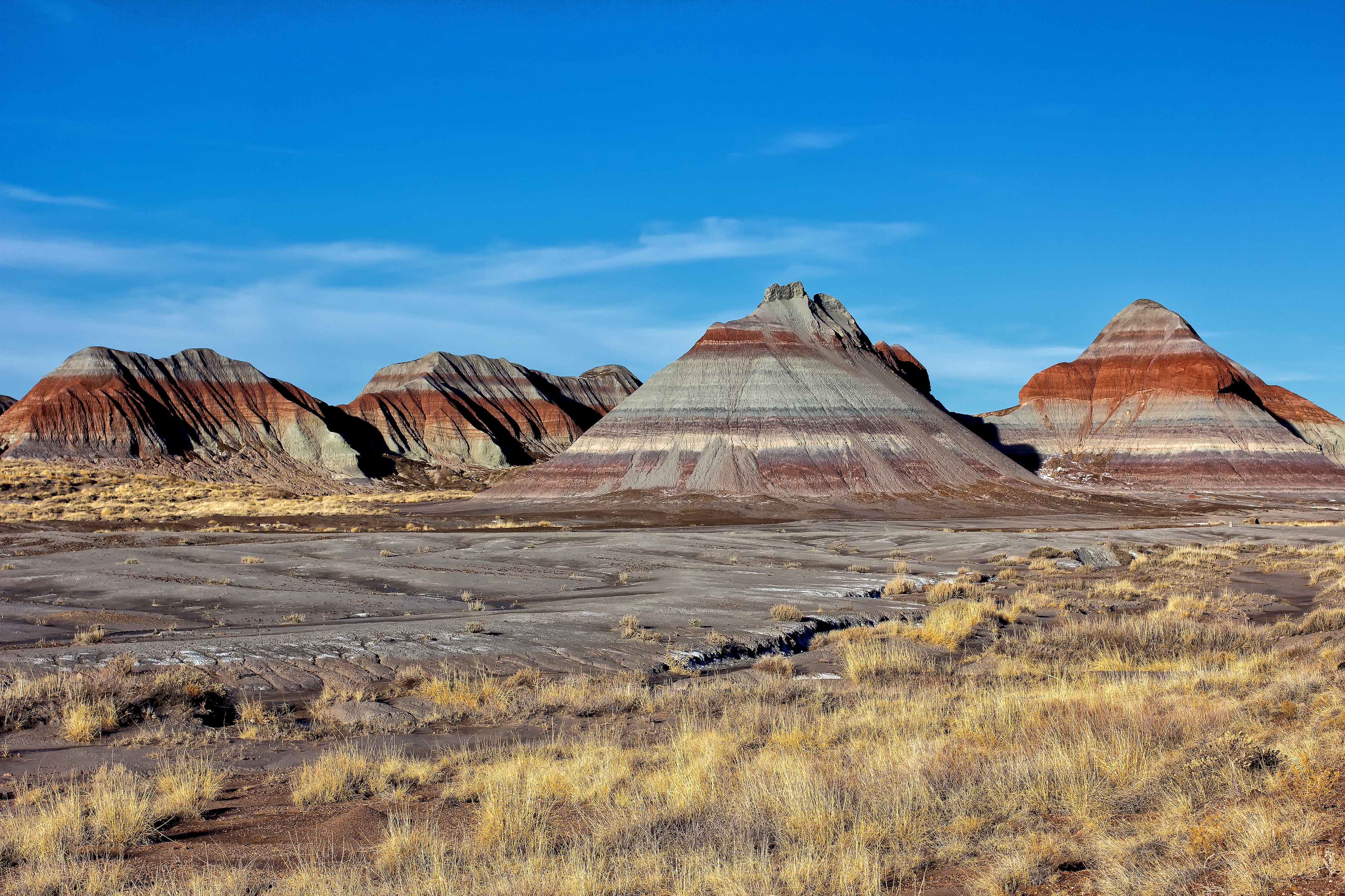 Colorful conical hills in the Petrified Forest National Park