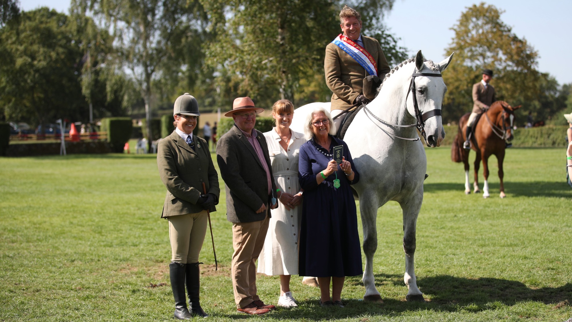 Grey Irish Draught Dowdstown Purple stands with a sashed Jono Fryer on board with judges at the 2026 Royal International after they are crowned Irish Draught champions.