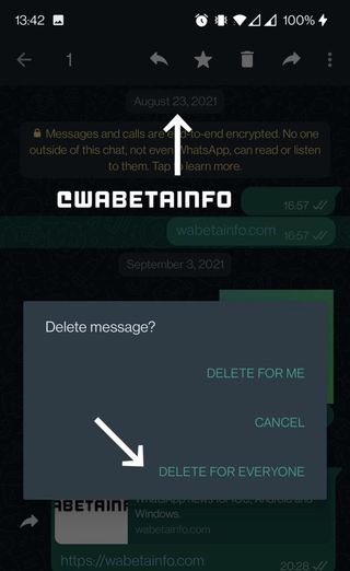 Whatsapp Delete For Everyone Extension