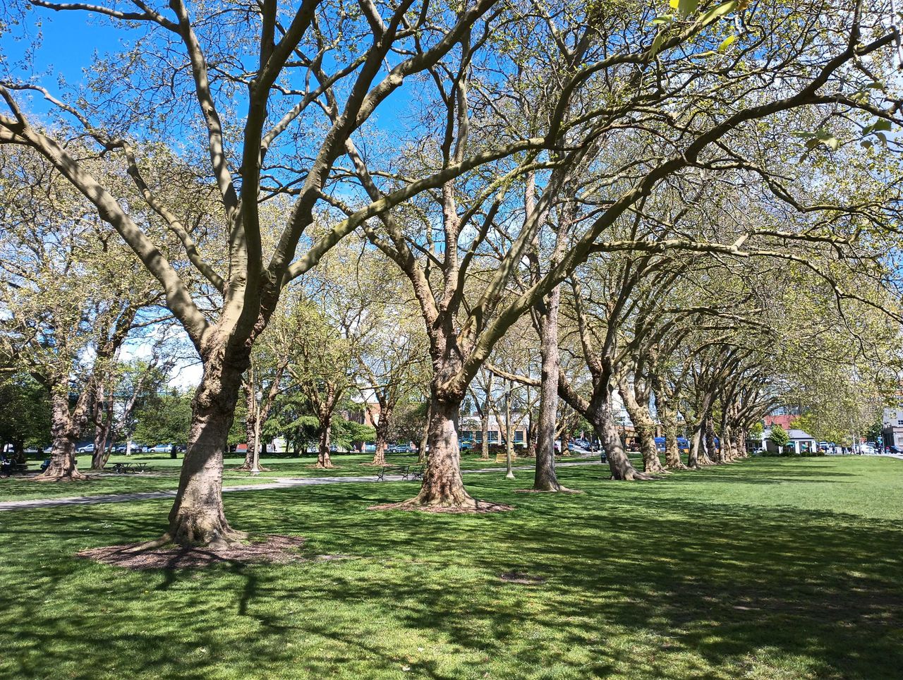 Moto G 5G (2022) camera sample