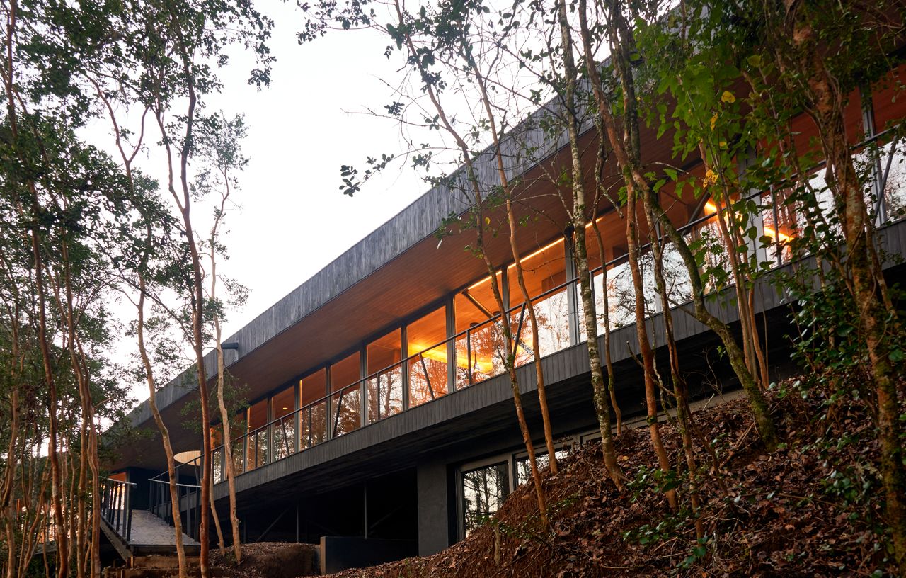 A new timber house in Chile’s Los Rios region