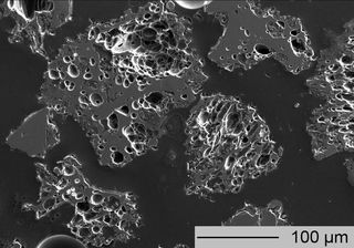 White River Ash under the microscope.