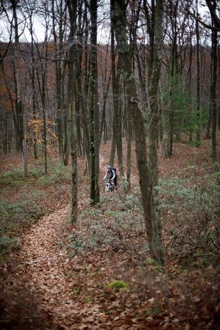 Winding Pennsylvania singletrack through the laurels