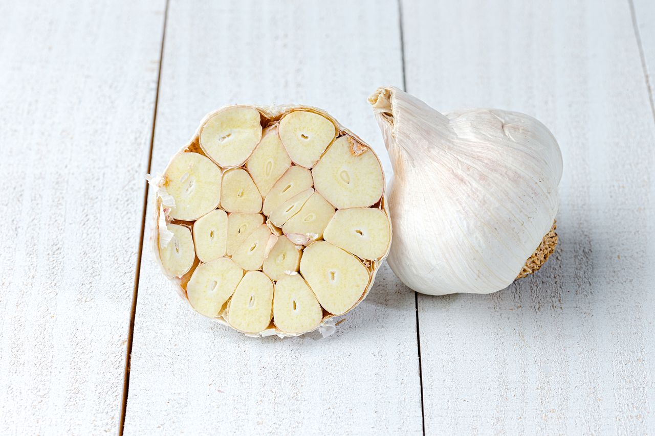 garlic