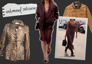 Collage of Leopard Jacket, Suede Jacket, and Streetstyle Imagery