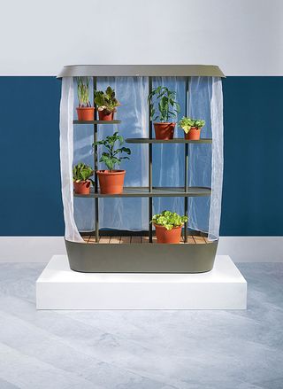 Flatpack greenhouse