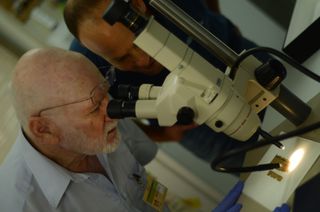 Professor emeritus Shmuel Ahituv and Eitan Klein, deputy director of the IAA's Unit for the Prevention of Antiquities Robbery, examine the rare papyrus.