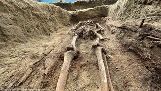 Poland's Institute of National Remembrance previously discovered three of the murdered nuns in Olsztyn.