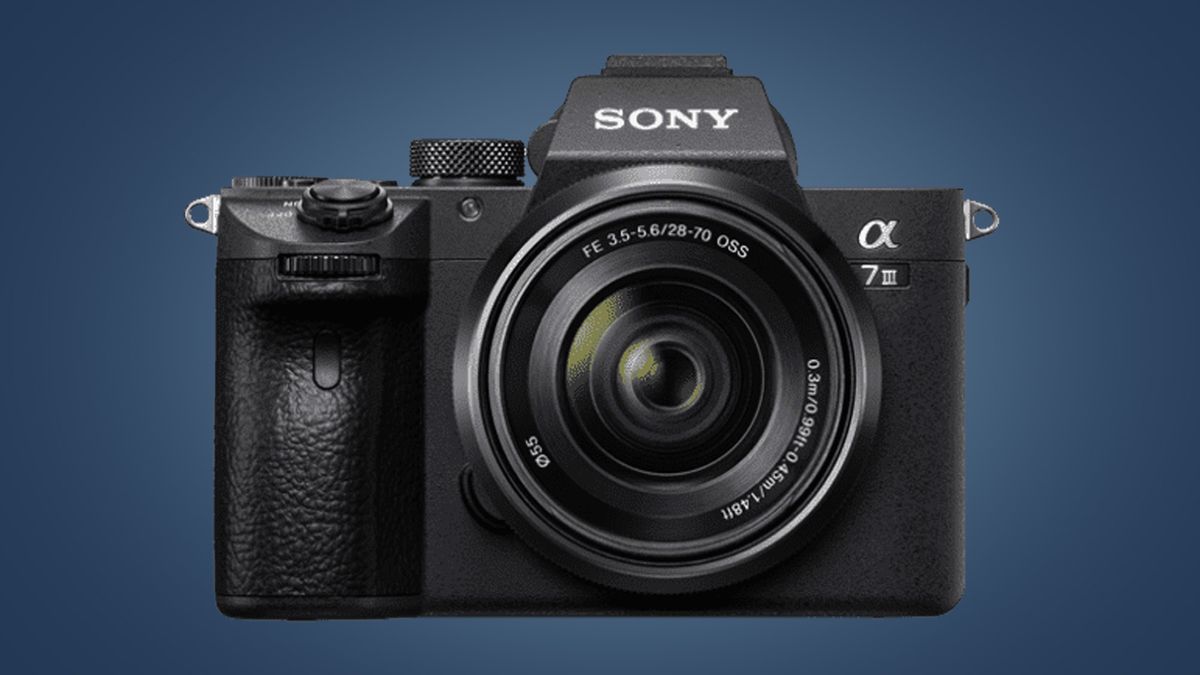Sony Alpha 7 IV Review - The perfect all-rounder camera?