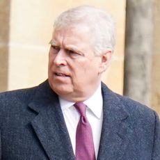 Ex-Prince Andrew looks shocked while wearing a dark gray overcoat with a white shirt and red and purple tie