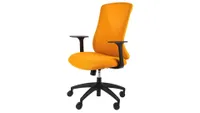 A product shot of Flexispot office chair, one of the best office chairs for back pain