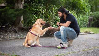 Man shaking his dog's paw