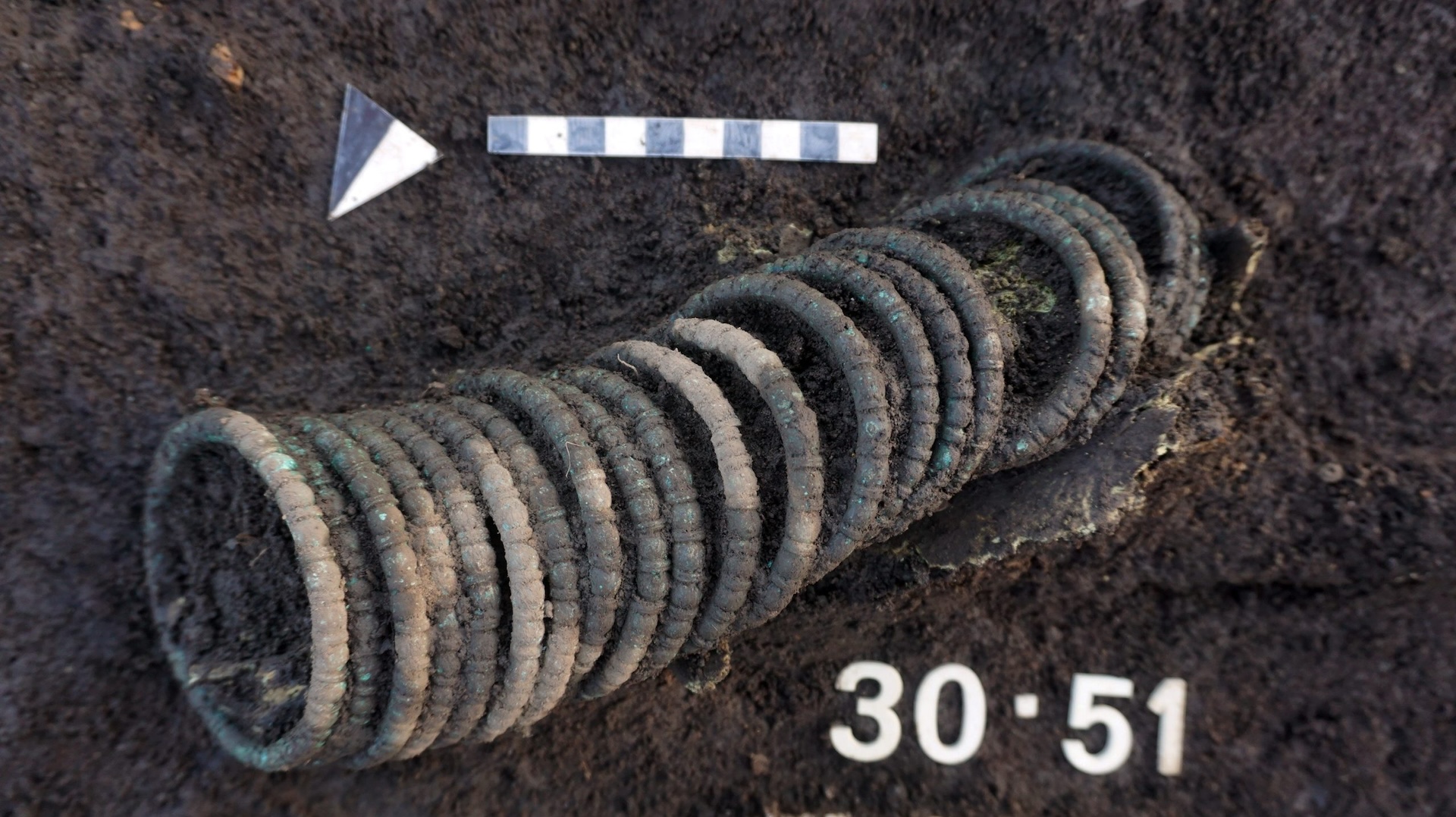 A row of about 20 bronze bracelets in the dirt burial.