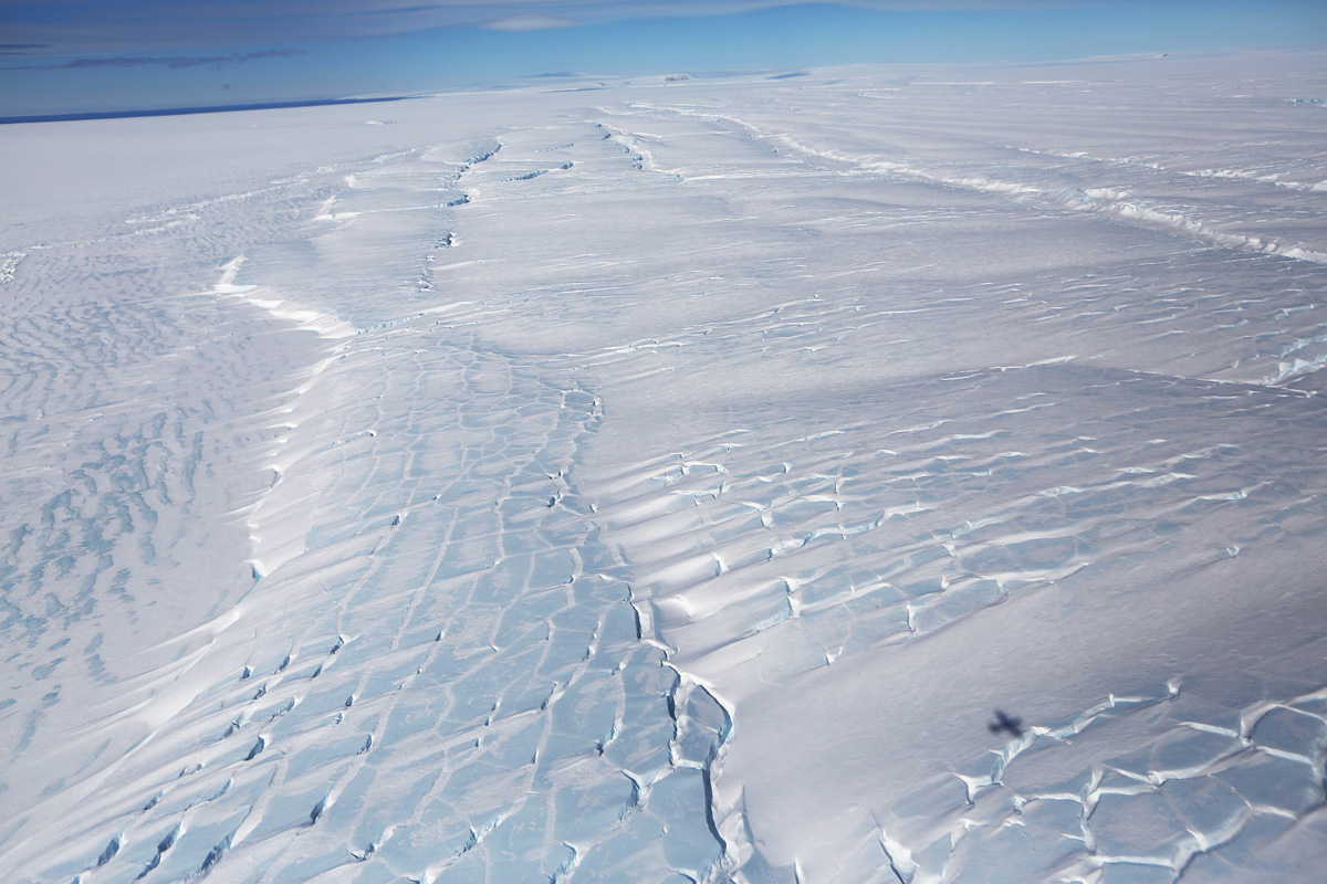 Amazing Antarctica
