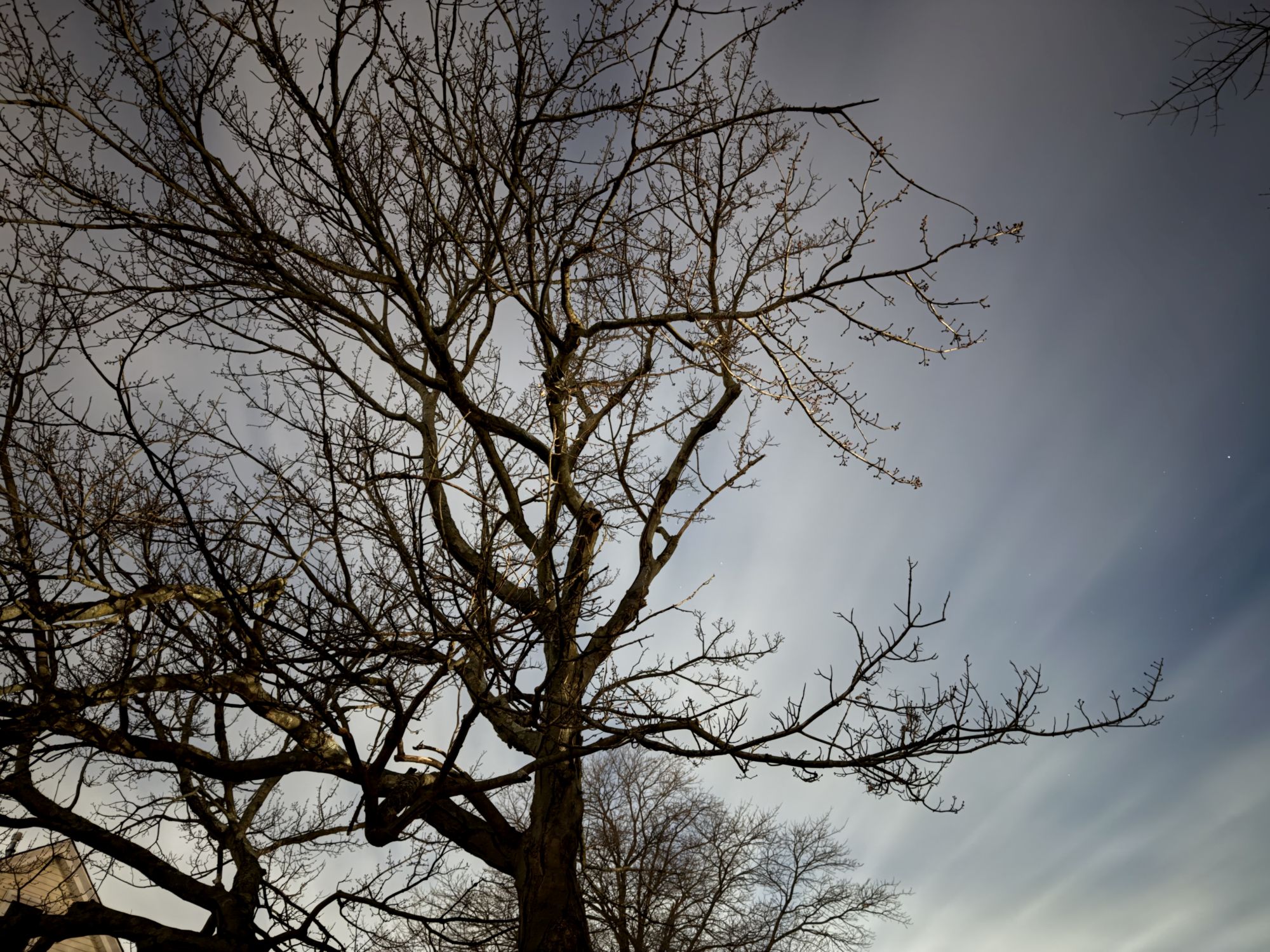 iPhone night mode max sample.