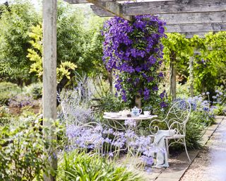 Viticcio metal garden set from OKA UK with pergola and clematis