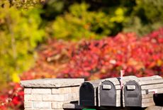 Row of three mailboxes against an autumn background