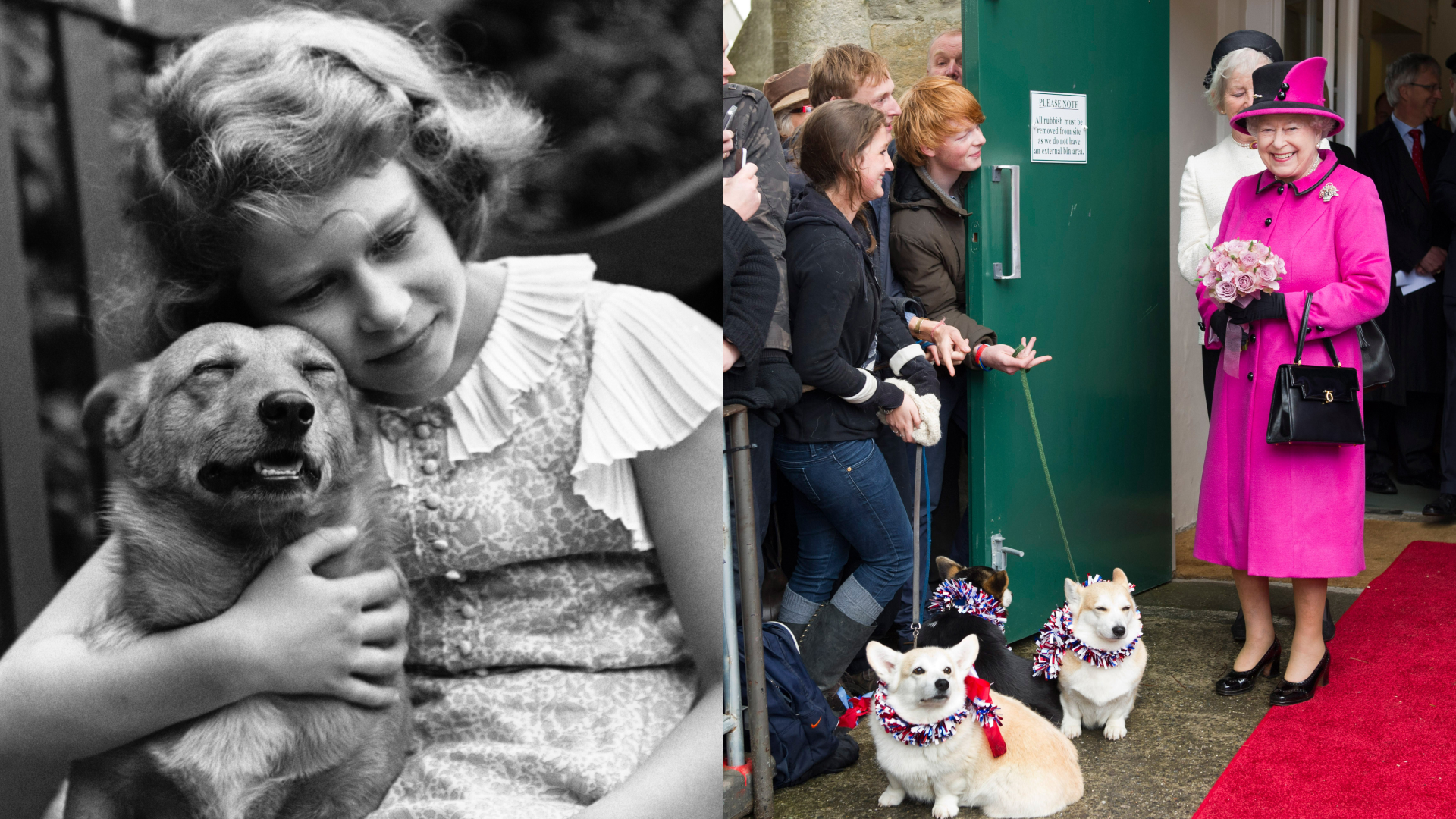Queen Elizabeth hugging a dog as a child: Queen Elizabeth in a pink coat and hat smiling at two corgis on leashes being held by fans