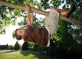 kid climbing and hanging from tree