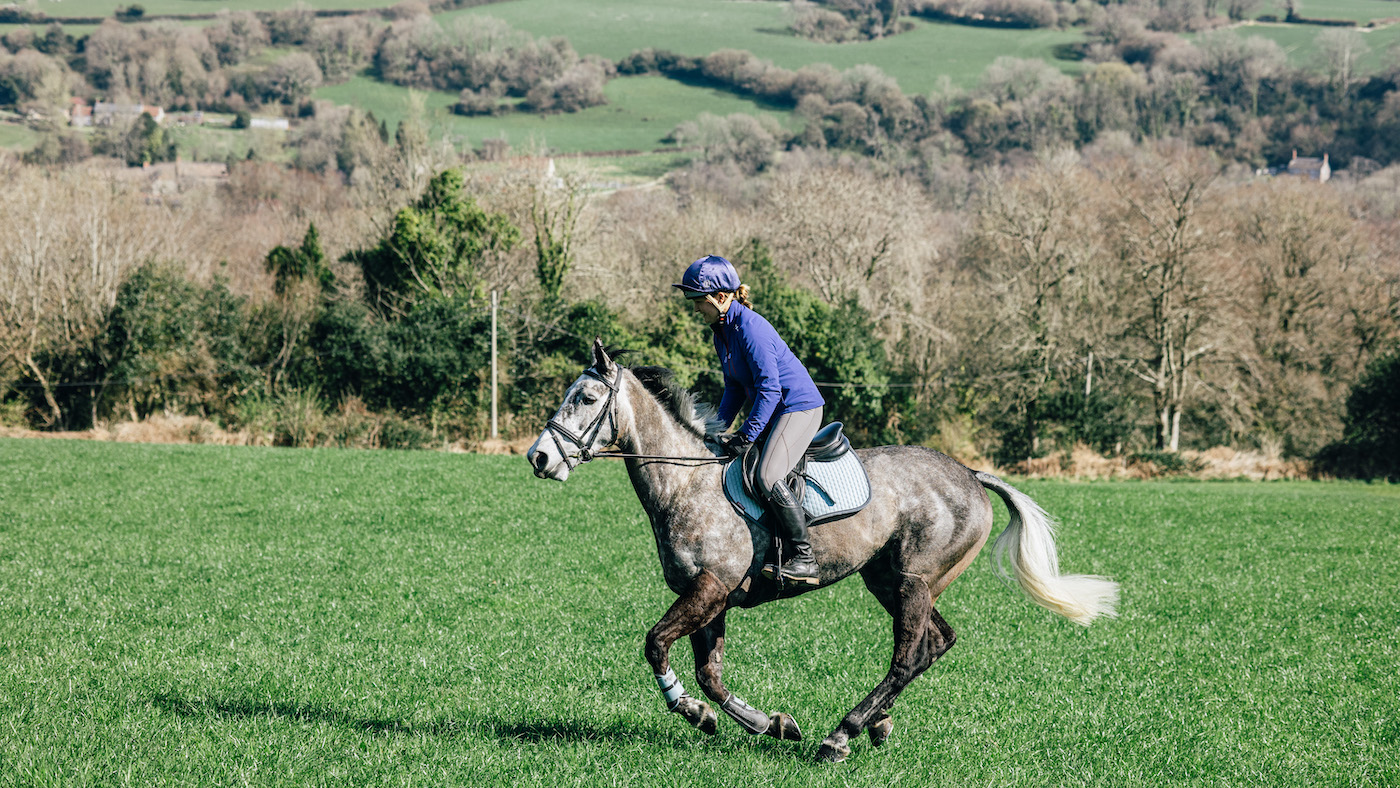 Cantering horse in open space of grassland
