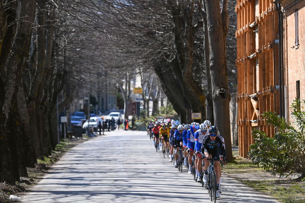 SAN BENEDETTO DEL TRONTO ITALY MARCH 13 Antoine Duchesne of Canada and Team Groupama FDJ and Alberto Dainese of Italy and Team DSM lead The Peloton during the 57th TirrenoAdriatico 2022 Stage 7 a 159km stage from San Benedetto del Tronto to San Benedetto del Tronto TirrenoAdriatico WorldTour on March 13 2022 in San Benedetto del Tronto Italy Photo by Tim de WaeleGetty Images
