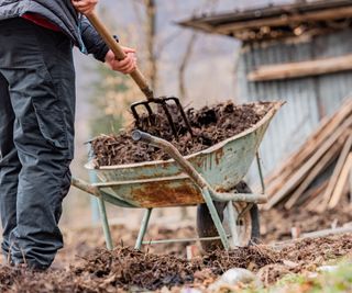 Compost on veg patch