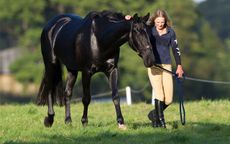 Keep-your-horse-walking_KBIS