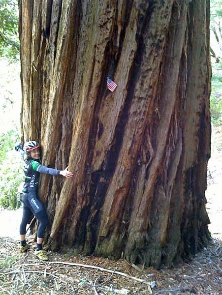 Mary McConneloug acts the part of a tree hugger.