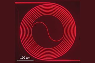 Circular pattern of vortexes within the crystals surface