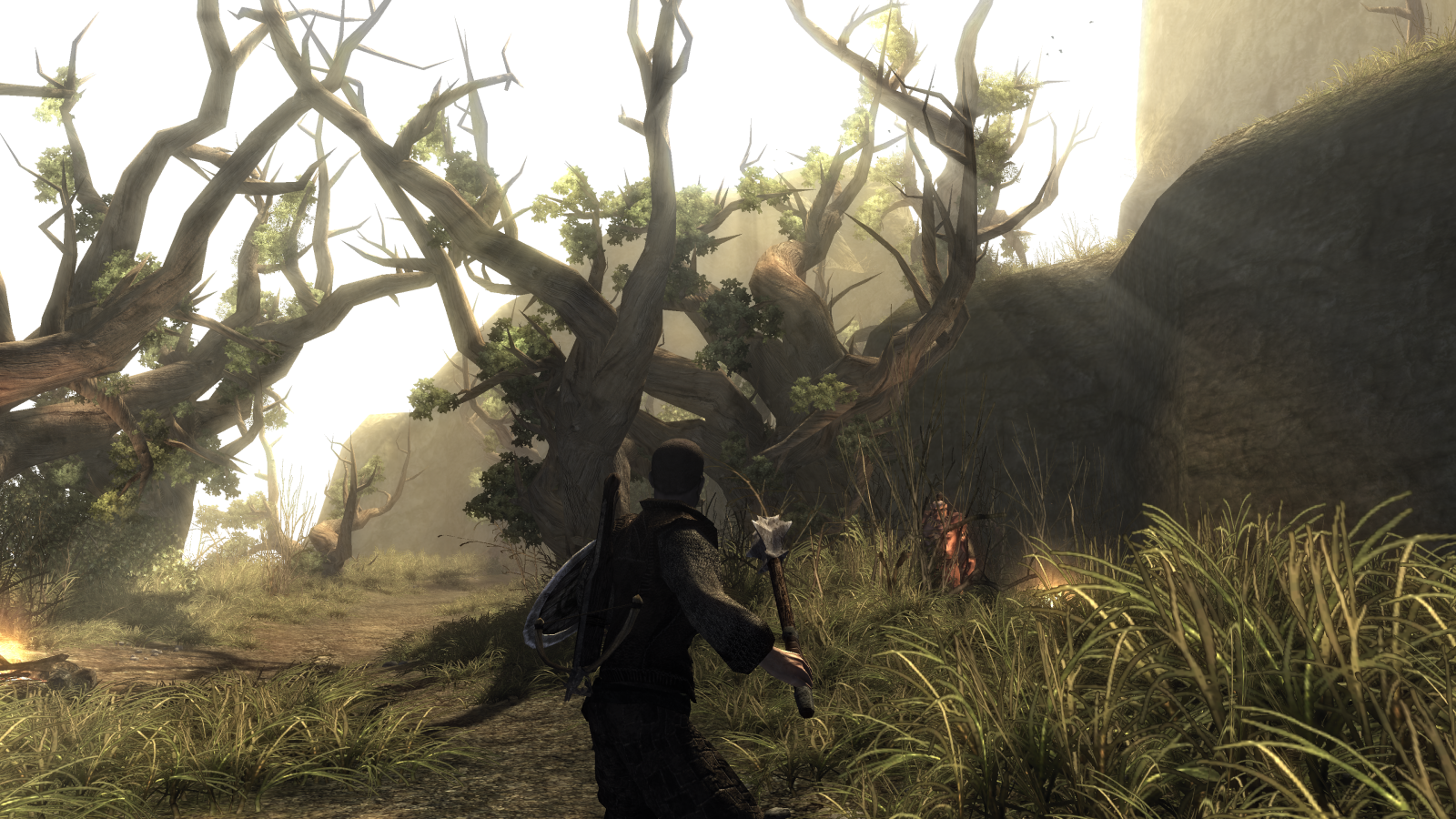 A screenshot of Risen, in which a hero is exploring a forest.