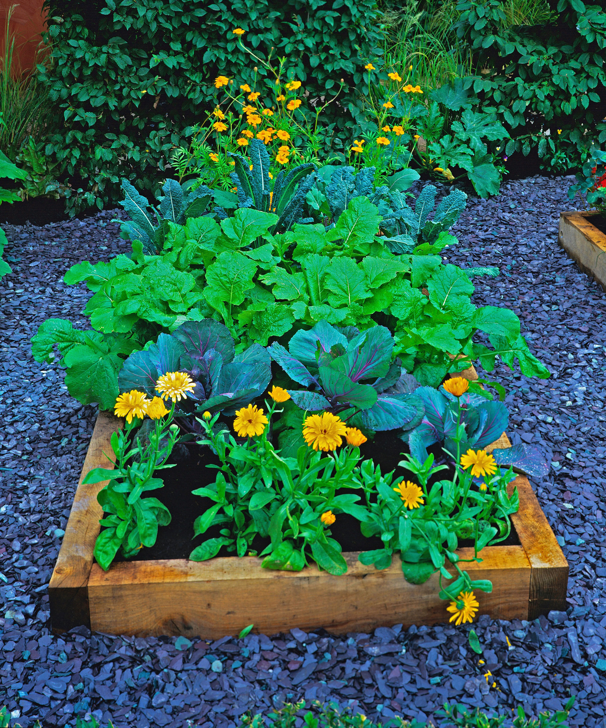 raised beds with slate walkway