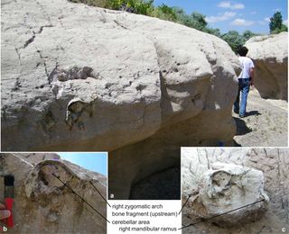 rhino fossils found preserved in volcanic ash.