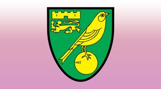 Norwich City pink