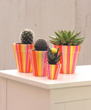 Group of small cactus planted in brightly colored painted striped flowerpots