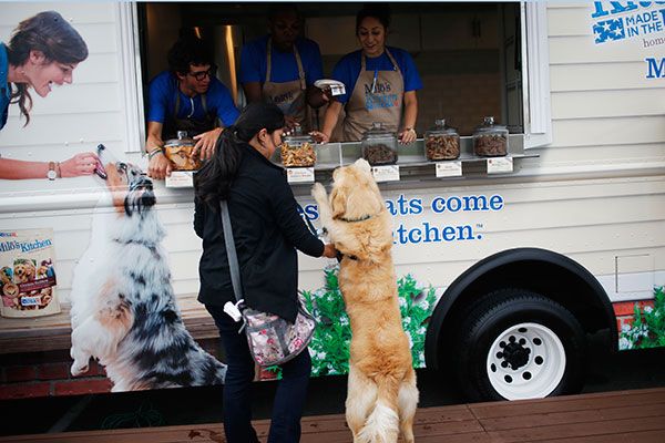 We&amp;#039;ve reached peak food truck: Dogs can now visit a &amp;#039;treat truck&amp;#039;