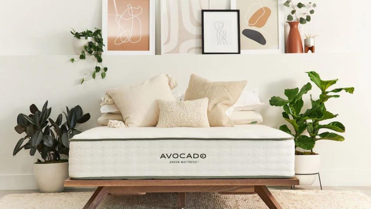 A pocket sprung mattress, the Avocado Green Organic Latex Mattress, against a white wall.