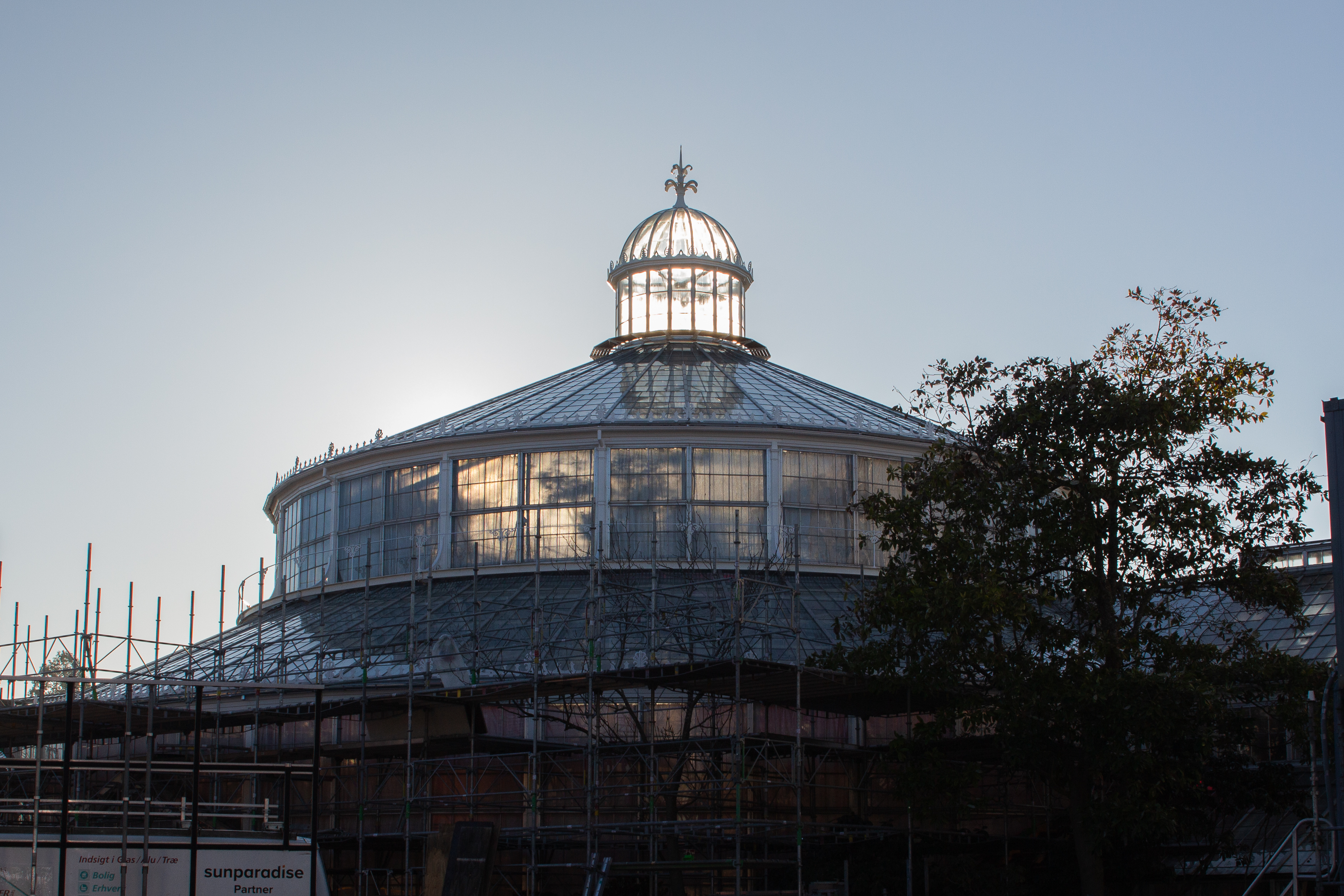Palm House, restored by Schmidt Hammer Lassen, during restoration