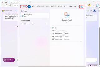 Bing Chat on Windows 11 Search