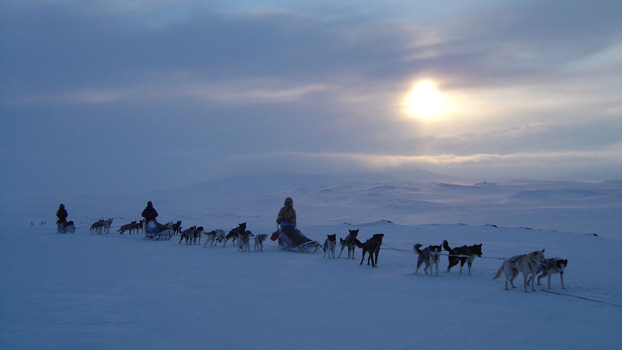 karasjok_husky_safari_credit_engholm_husky.jpg