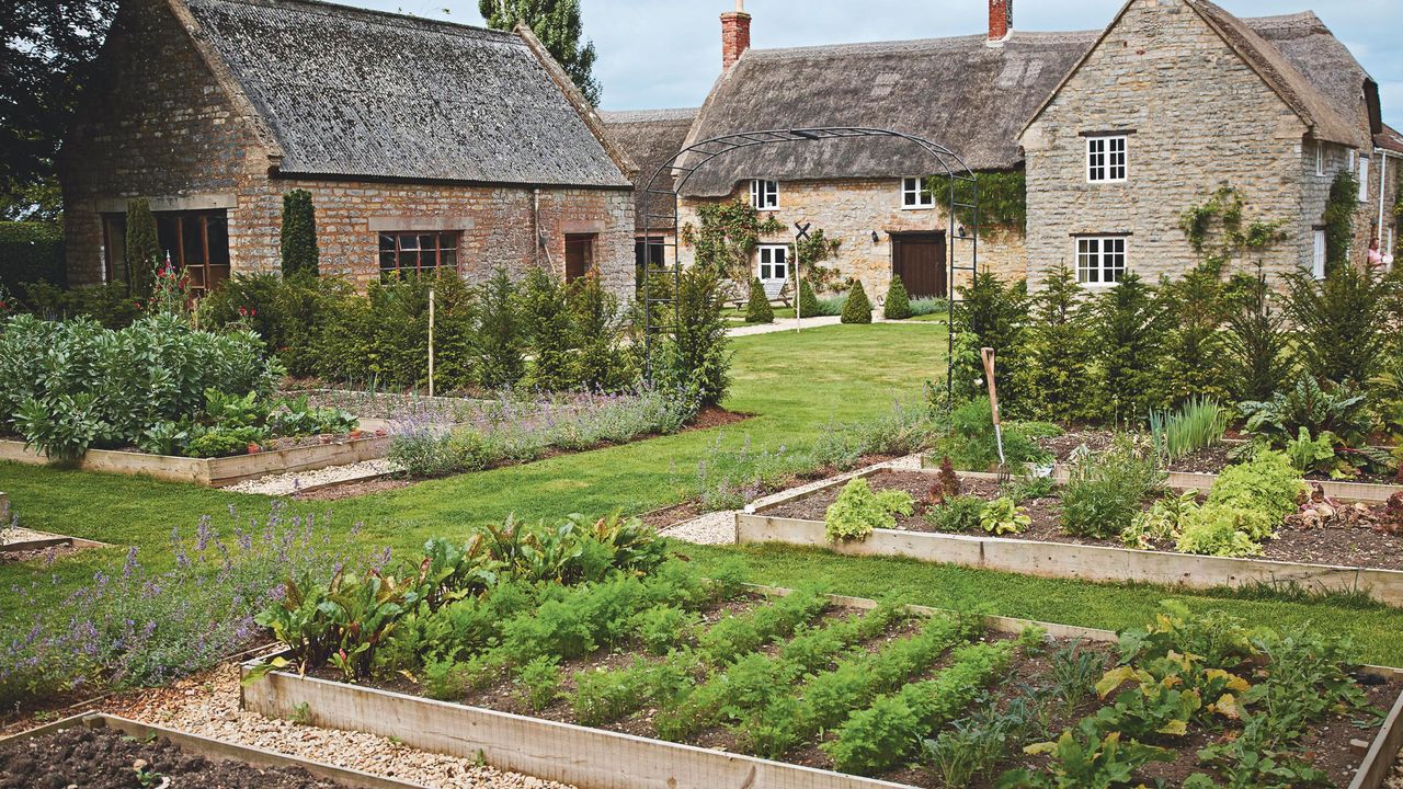 Vegetables growing in wooden raised vegetable beds in garden