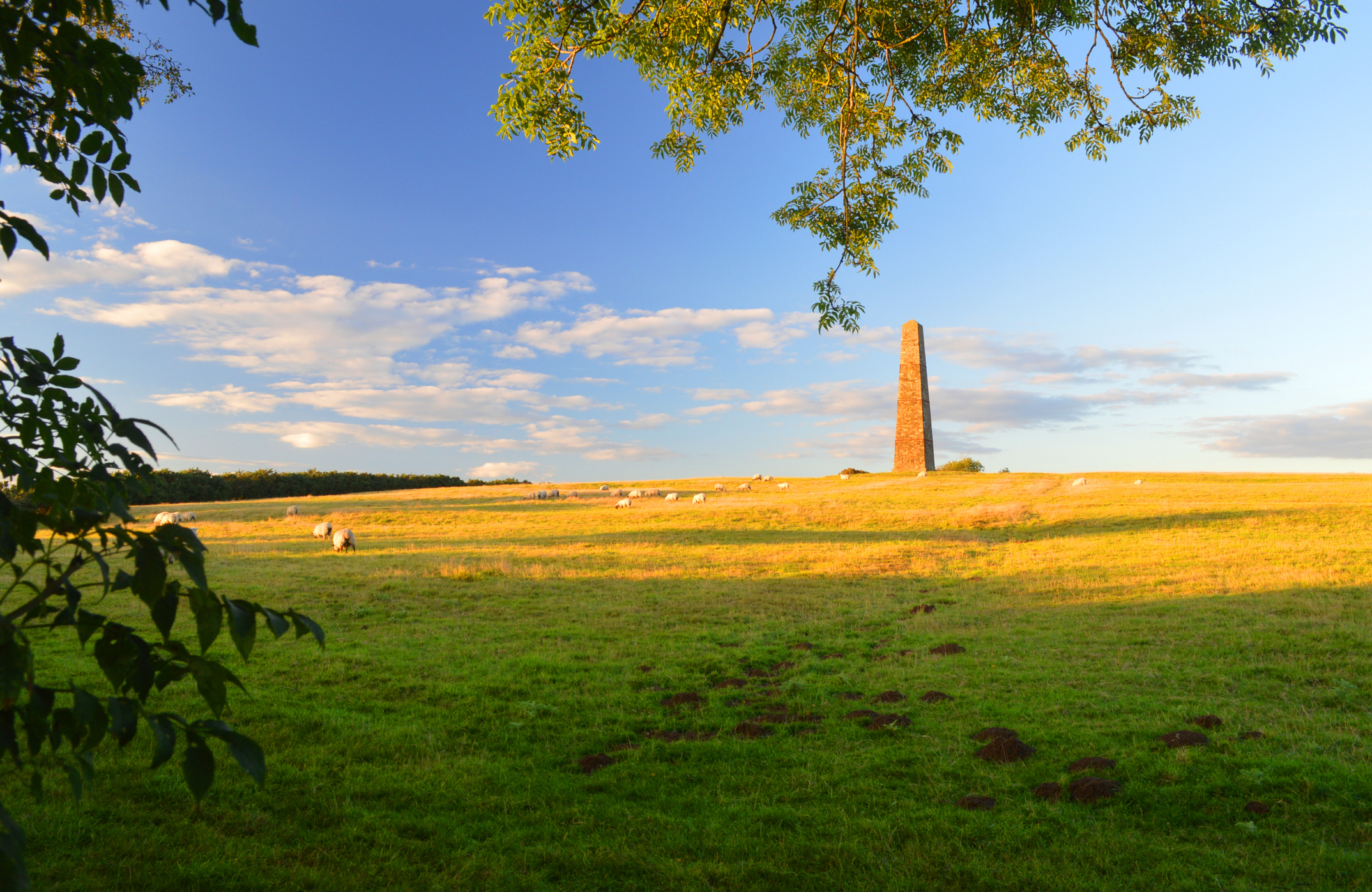 Brightling Needle at Dusk, East Sussex, UK