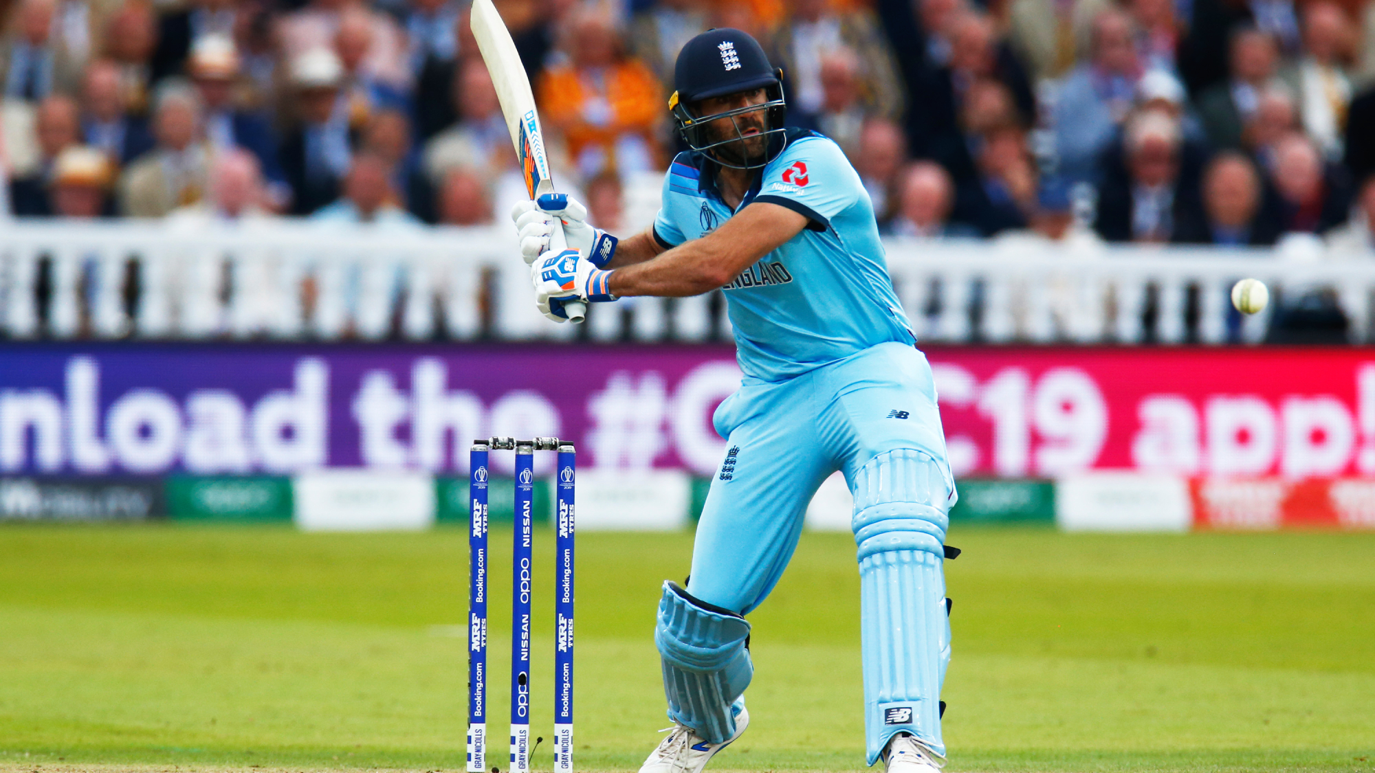 How to watch the Cricket World Cup 2023 online or on TV What to Watch