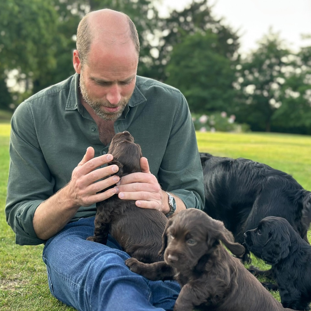 Prince William sitting in grass petting puppies 