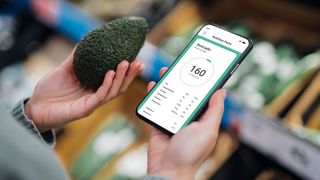 How to lose fat: Image shows person using calorie counting app