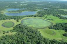 Aerial view of the Pantanal
