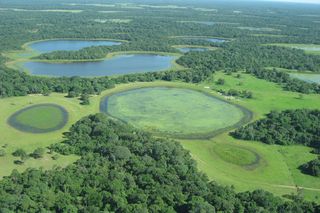 Aerial view of the Pantanal